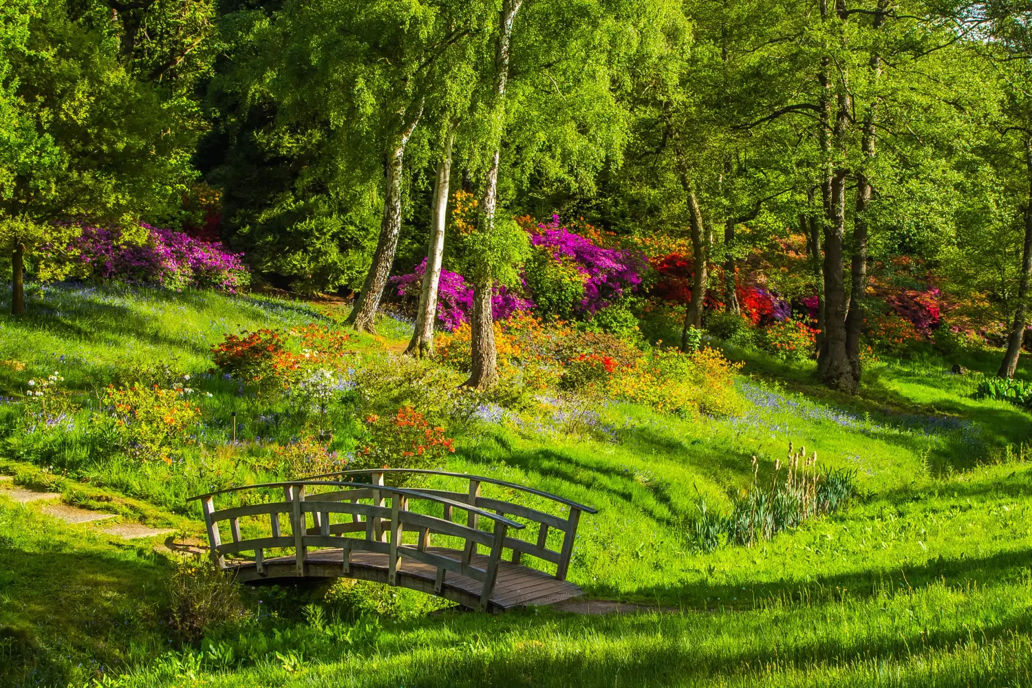 Wald von Heilpraktikerin für Psychotherapie